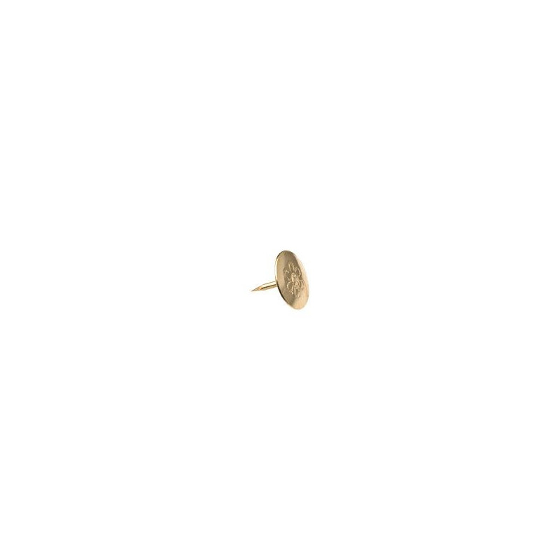 WDY - Push Pins Brass-Plated Gold x100