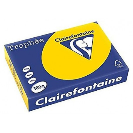 Clairefontaine Tinted Paper Gold - 120g