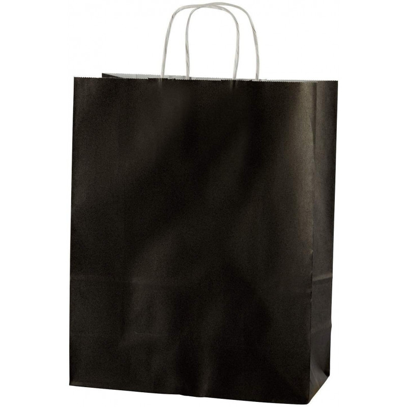 Paper Bag Black Small X50