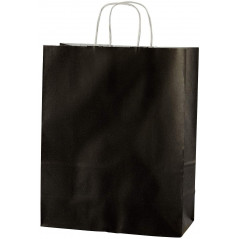 Paper Bag Black Large X50