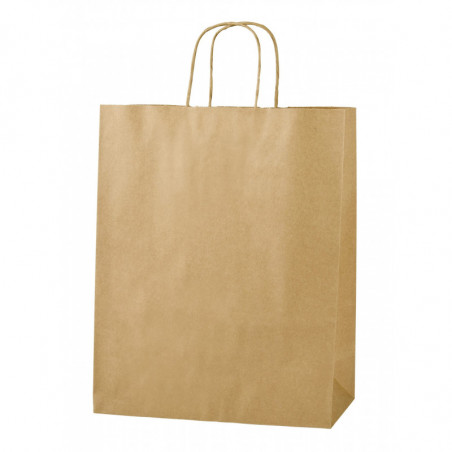Paper Bag Kraft Medium X50
