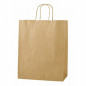 Paper Bag Kraft Medium X50