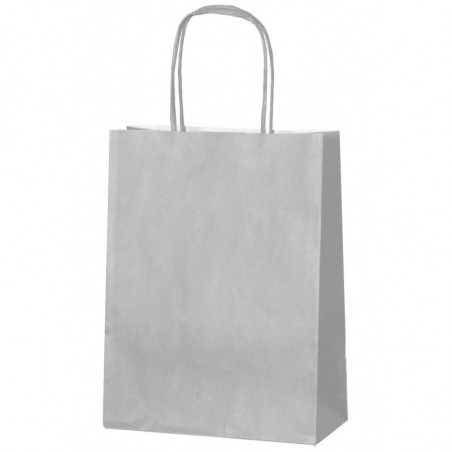 Paper Bag Silver Large X50
