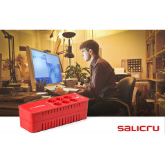 Salicru UPS SPS 650 home, 6 prises UK -3 + 3-, Port USB