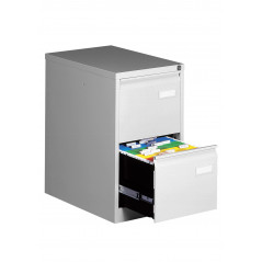 PROFESSIONAL 2 DRAWERS CABINET LIGHT GREY - 2 DRAWERS - BISLEY (Available within 15 days)