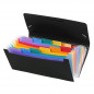 Viquel - Rainbow Expanding file 12 compartments