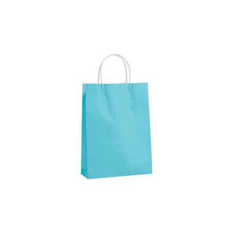 Paper Bag Blue Large X50