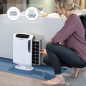 Aeramax DX55 Air Purifier - FELLOWES Aeramax DX55 Air Purifier - FELLOWES