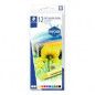Staedtler Chalk Pastels Soft x12