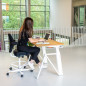 Electrical Adjustable Executive Desk - Theodore Electrical Adjustable Executive Desk - Theodore