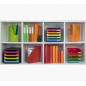 Exacompta - Letter tray Translucent Apple Green, Classic COMBO 2 A4+