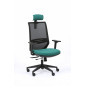 Executive Ergonomic Office chair - Model TECSY