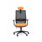 Executive Ergonomic Office chair - Model TECSY