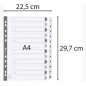 Exa - Dividers Cardboard 1 to 12