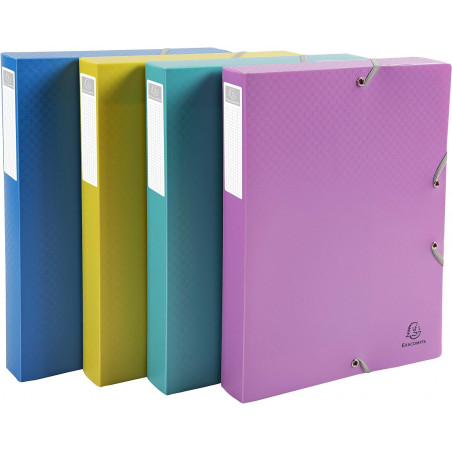 EXA PLASTIC BOX FILE 40MM FOREVER YOUNG