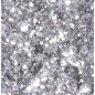 Cleopatre - Glitter Powder Silver 115Gr