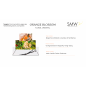 FRAGRANCE DIFFUSER W900 SMALL 800 ML FRAGRANCE DIFFUSER W900 SMALL 800 ML
