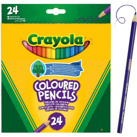 Crayola coloured pencil x24