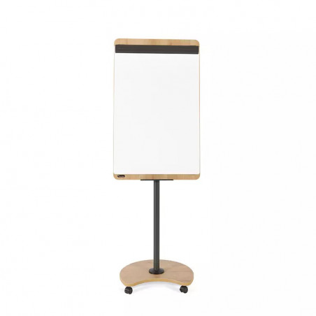 CEP Flipchart mobile conference whiteboard