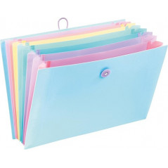 VIQ - Expending File Pastel 8 Compart.