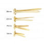 WDY - Paper Fasteners GOLD 19mm