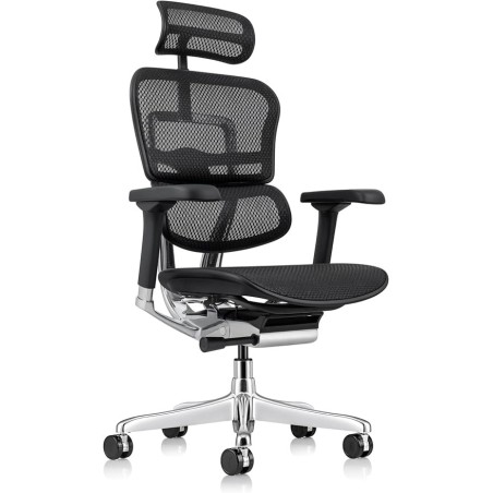 MTI - Chair Ergohuman Mesh Black