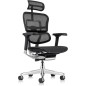 MTI - Chair Ergohuman Mesh Black