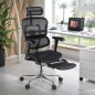 MTI - Leg Rest Black Adaptable Ergohuman Chair