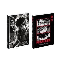 VIQ - Agenda Manga Boy 2025,26