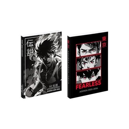VIQ - Agenda Manga Boy 2025,26