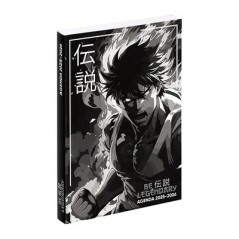 VIQ - Agenda Manga Boy 2025,26