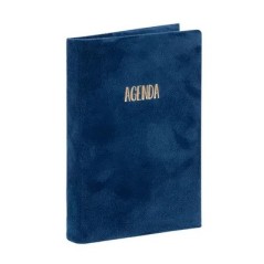 VIQ - Agenda Velvet 2025,26