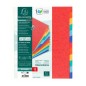 Exa - Dividers 12 Parts MAXI Cardboard