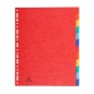 Exa - Dividers 12 Parts MAXI Cardboard