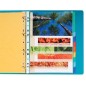 Exa - Dividers 12 Parts MAXI Cardboard
