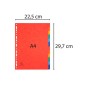 Exa - Dividers 12 Parts Cardboard Exa - Dividers 12 Parts Cardboard