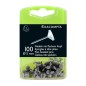 Exa - Push Pins White Head