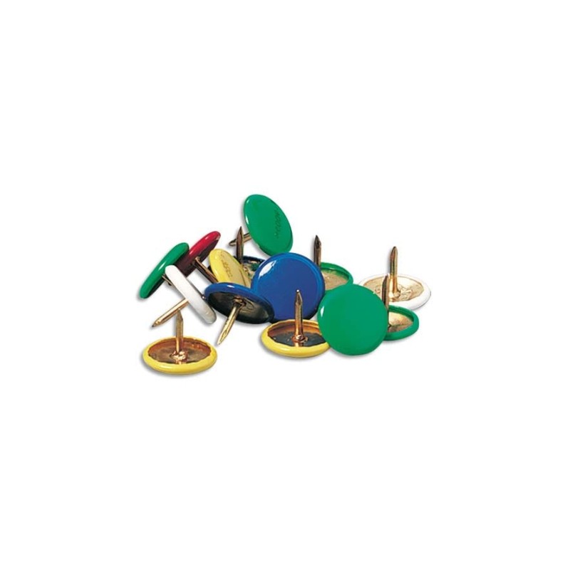WDY - Push Pins Flat Head x100