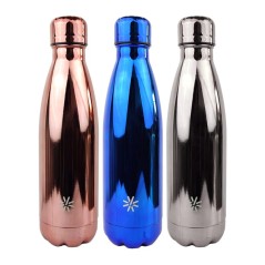 VIQ - Bottle AQUA PRECIOUS Metal 500ML