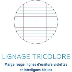 CFR - A4 Single Sheet Perforated SeyesPink x50
