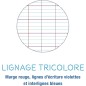 CFR - A4 Single Sheet Perforated SeyesPink x50