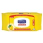 SEPTONA WIPES ANTI BACTERIAL 60PC