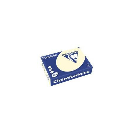 Clairefontaine Tinted Paper Cream - 210g