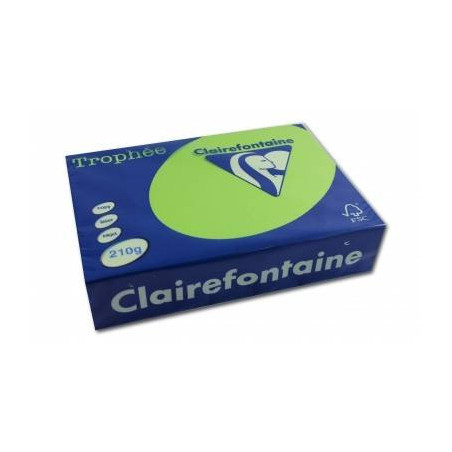 Clairefontaine Tinted Paper Intensive Green - 210g