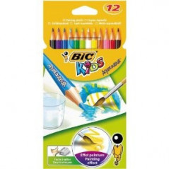 BIC Aquacouleurs colour pencil 12 pc(s)