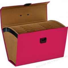PINK EXPANDING CASE CARTON WITH HANDLE