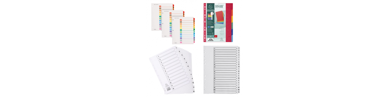 Dividers for School to Split Your Documents at Bureau Vallée